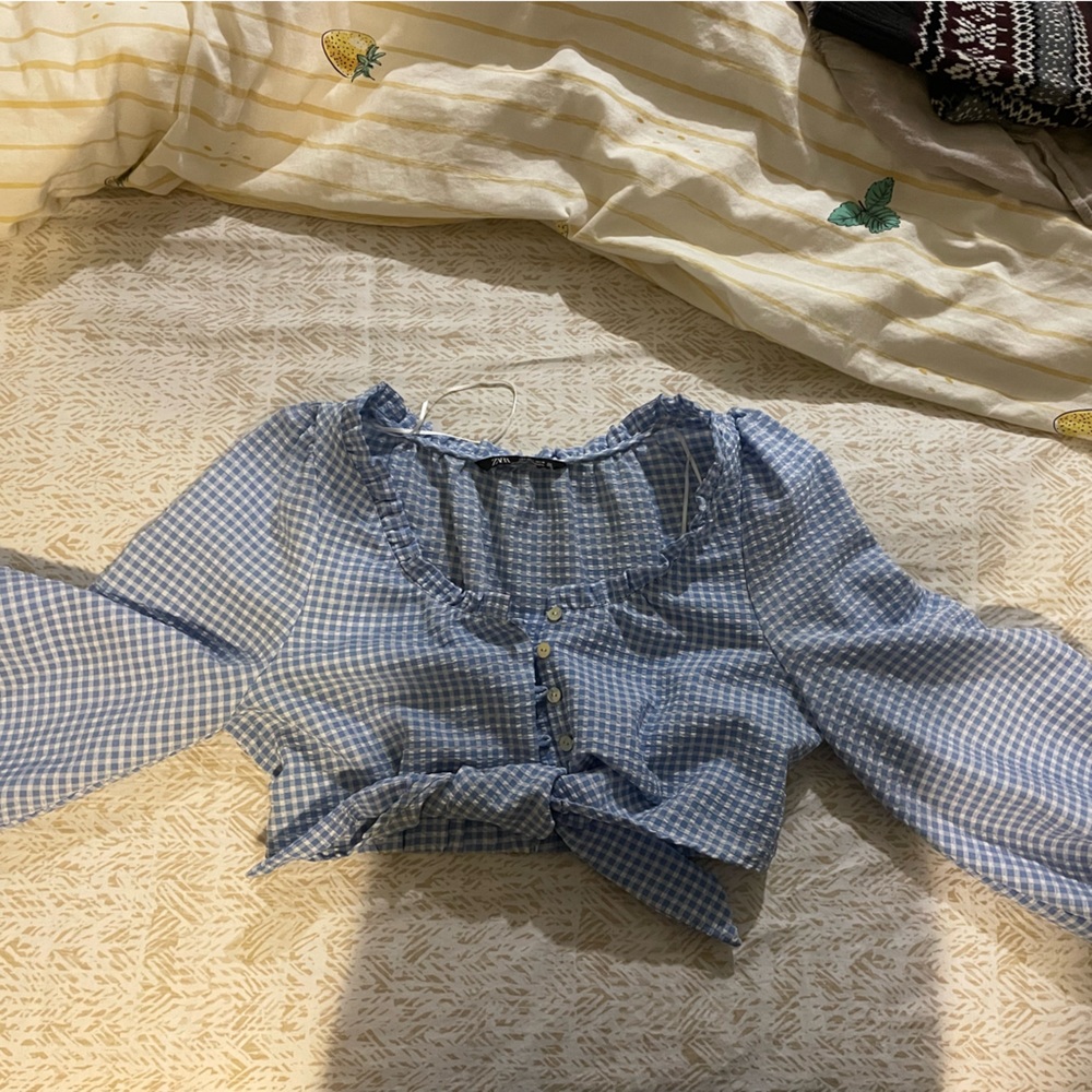 Zara crop top